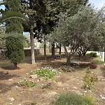 Dimos Parikia (Paros)