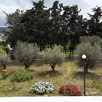 Dimos *