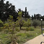 Dimos *