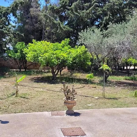 Apartment Dimos *