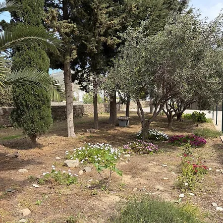 Kaniaris Olive Garden House Парос